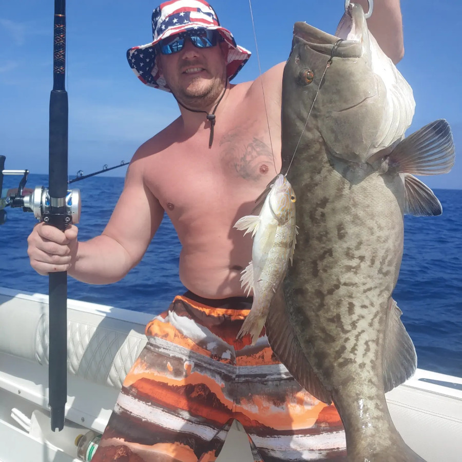 red grouper