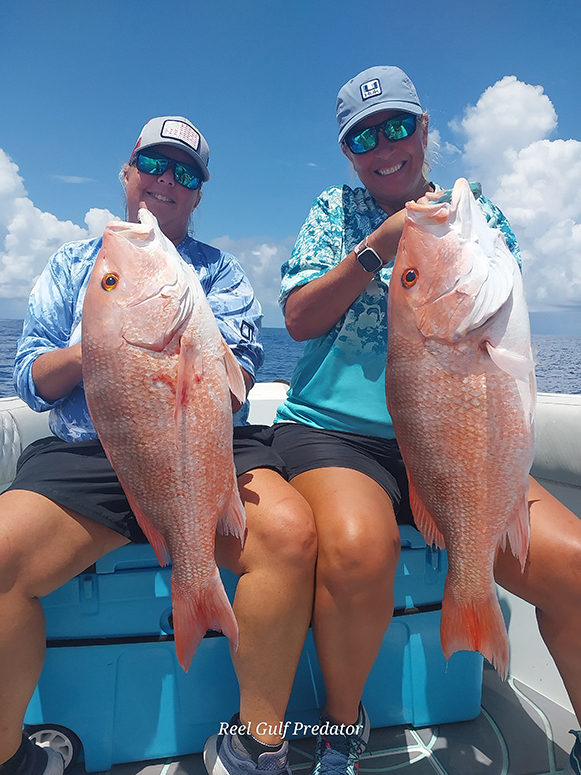 reel gulf predator fishing experience