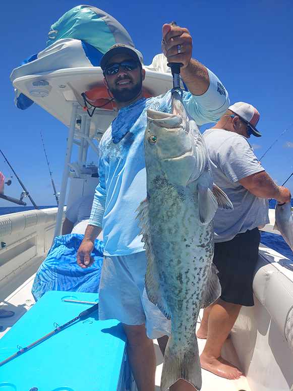 reel gulf predator fishing experience