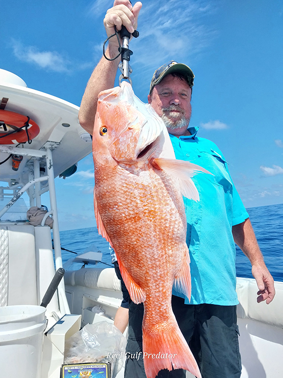reel gulf predator fishing experience