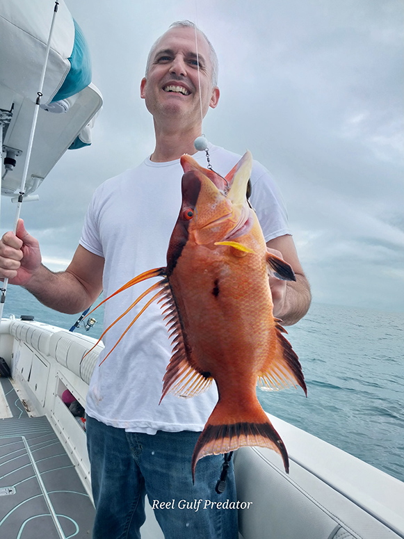 reel gulf predator fishing experience