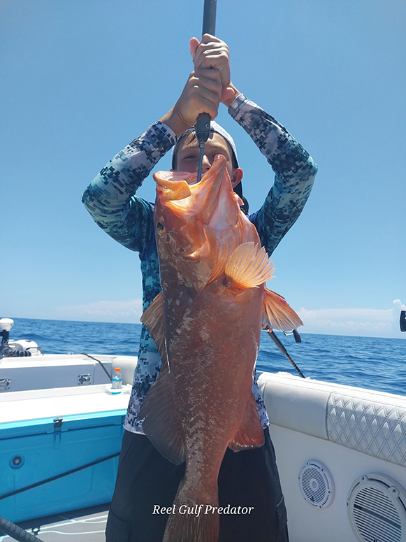 reel gulf predator fishing experience