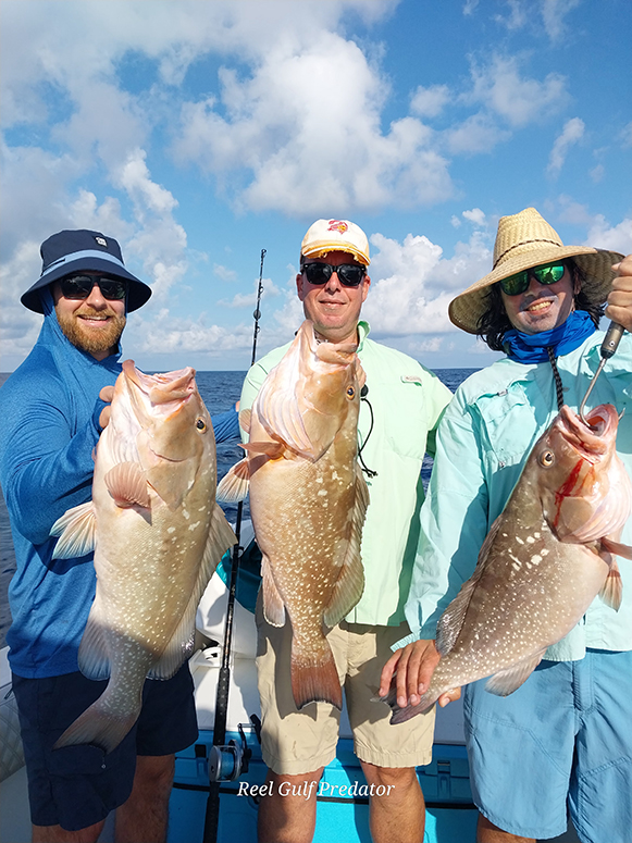 reel gulf predator fishing experience